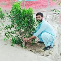 Green Seekers Activity
